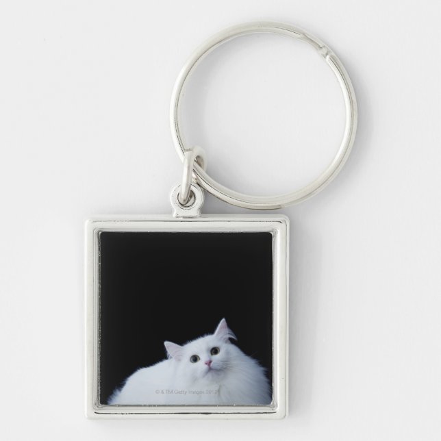 Chaveiro Gato Siberian (Frente)