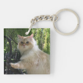 Chaveiro Gato Siberian da floresta (o dobro tomou partido)