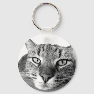 Chaveiro Gato Sonolento