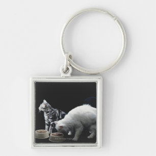 Chaveiro Gatos com a bacia de comida
