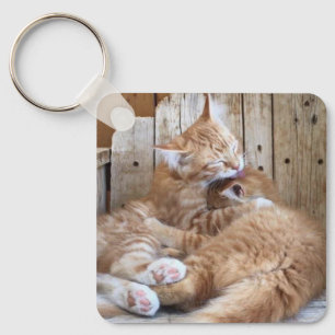Chaveiro Gatos De Cuddô