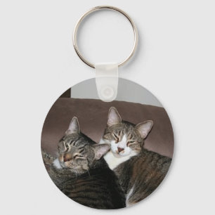 Chaveiro gatos de Jaime
