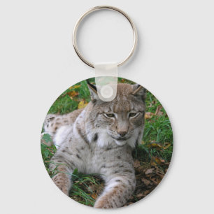 Chaveiro Gatos grandes - 11