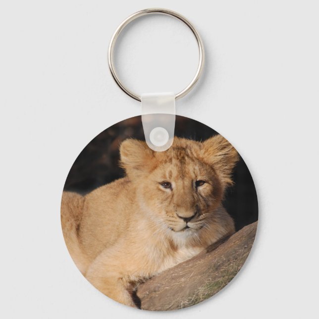 Chaveiro Gatos Grandes - 8 (Frente)