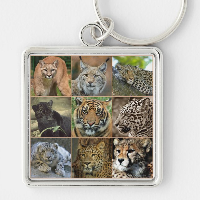 Chaveiro Gatos-selvagens (Frente)