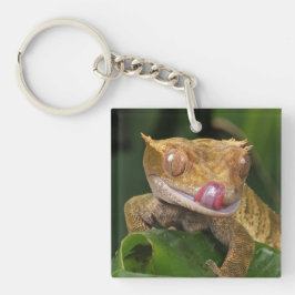Chaveiro Gecko preso