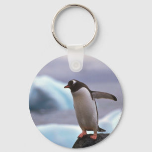 Chaveiro Gentoo Penguin