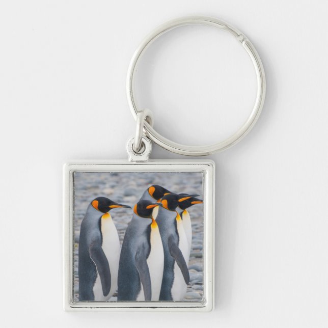 Chaveiro Geórgia do Sul. Pinguins-imperadores (Frente)