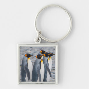 Chaveiro Geórgia do Sul. Pinguins-rei