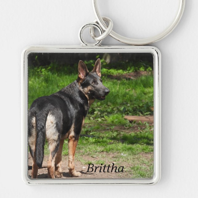 Chaveiro German shepherd azul (Frente)