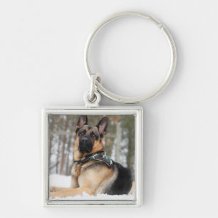 Chaveiro German shepherd Na Neve