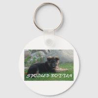 german shepherd podre estragado