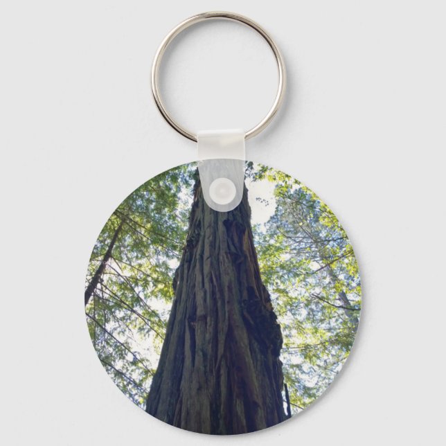 Chaveiro Giant Neverending Redwood Tree (Frente)