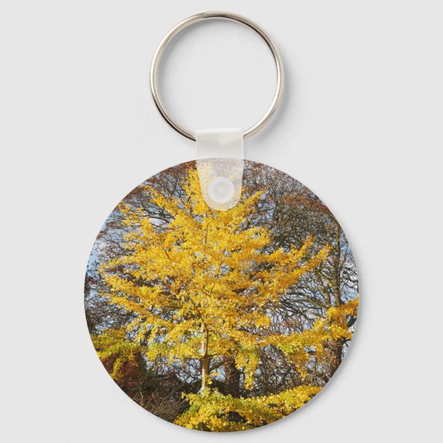 Chaveiro Ginkgo Biloba Tree Keyring (Frente)