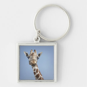 Chaveiro Girafa 2