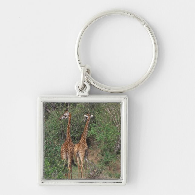 Chaveiro Girafa 3 de Massai (Frente)