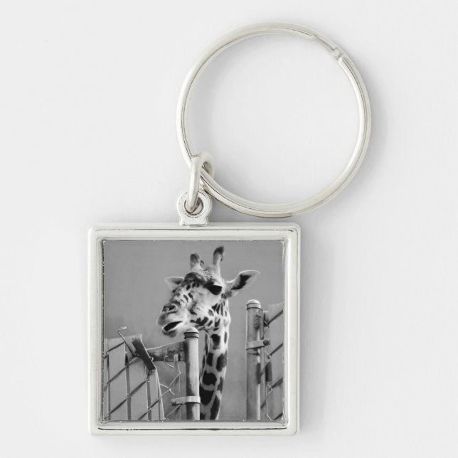 Chaveiro Girafa atrás da cerca Black & White Photoshop (Frente)