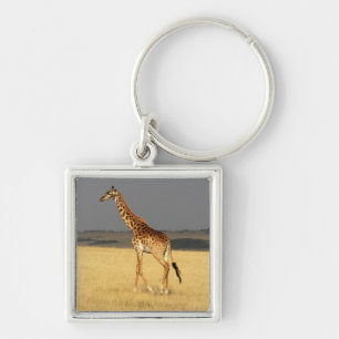 Chaveiro Girafa cheio da África Animais Africanos