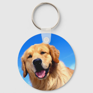 Chaveiro Golden retriever