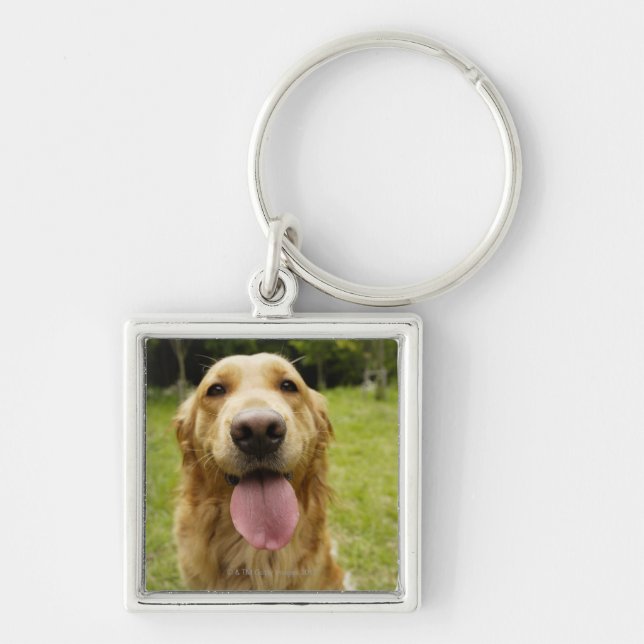 Chaveiro Golden retriever 4 (Frente)