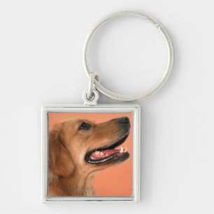 Chaveiro Golden retriever 7