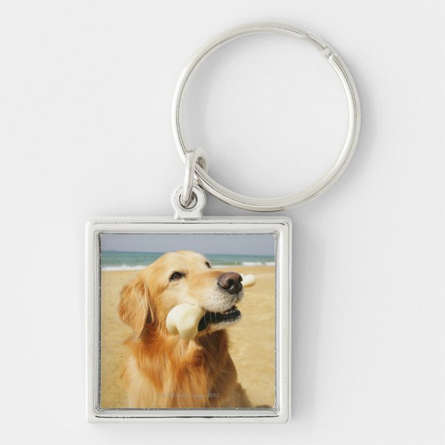 Chaveiro Golden retriever que come o osso (Frente)