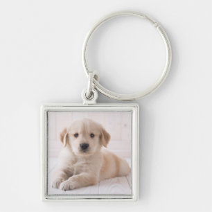 Chaveiro Golden retriever que encontra-se para baixo