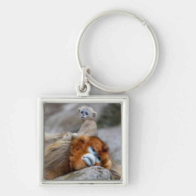 Chaveiro Golden Snub-nosed Monkey Dad with Baby (Frente)