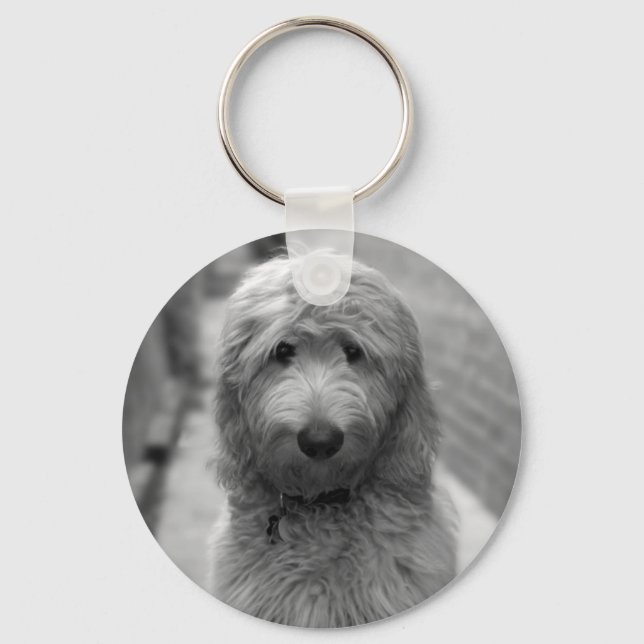 Chaveiro Goldendoodle Puppy No Quintal (Frente)