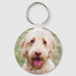 Chaveiro Goldendoodle sorrindo