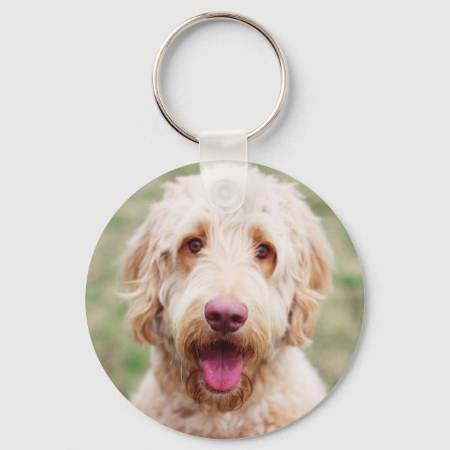 Chaveiro Goldendoodle sorrindo (Frente)