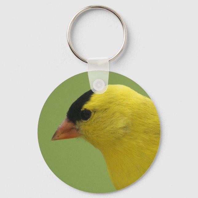Chaveiro Goldfinch (Frente)