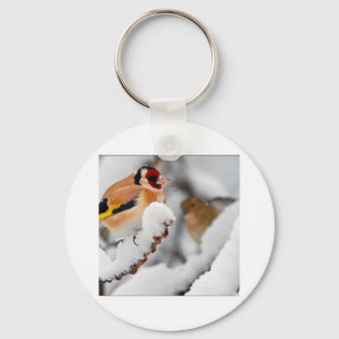 Chaveiro Goldfinch na neve
