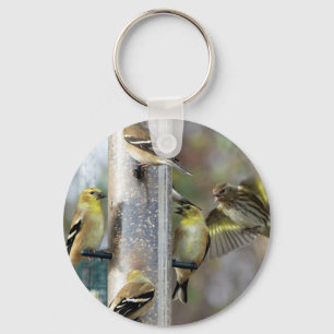 Chaveiro Goldfinches no alimentador