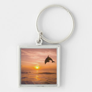 Chaveiro Golfinho de Bottlenose que salta 2