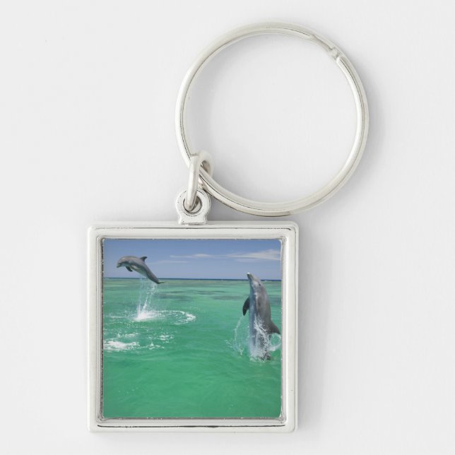 Chaveiro Golfinho-nariz-de-garrafa Tursiops truncatus (Frente)