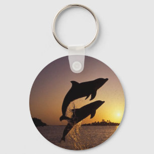 Chaveiro Golfinhos água peixe salto respingo ilha tropical