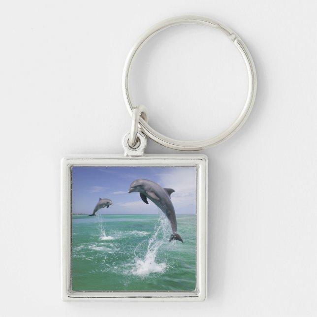 Chaveiro Golfinhos-nariz-de-garrafa Tursiops truncatus (Frente)