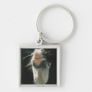 Chaveiro Grâ Bretanha