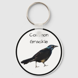 Chaveiro Grackle comum
