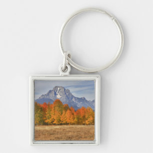Chaveiro Grand Teton NP, Mount Moran e aspen