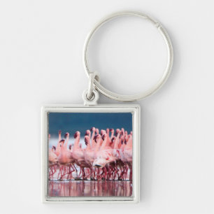 Chaveiro Grande Grupo de Flamingos Menores