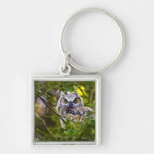 Chaveiro Grande Owlet Horned