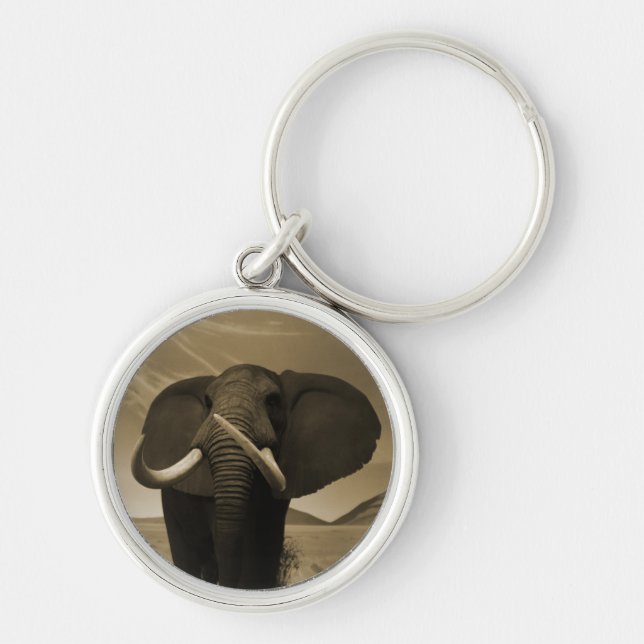 Chaveiro Granulosa (Frente)