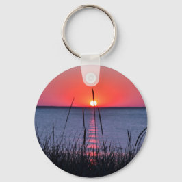 Chaveiro Gräser im Abendlicht - Insel Rügen