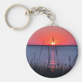 Chaveiro Gräser im Abendlicht - Insel Rügen