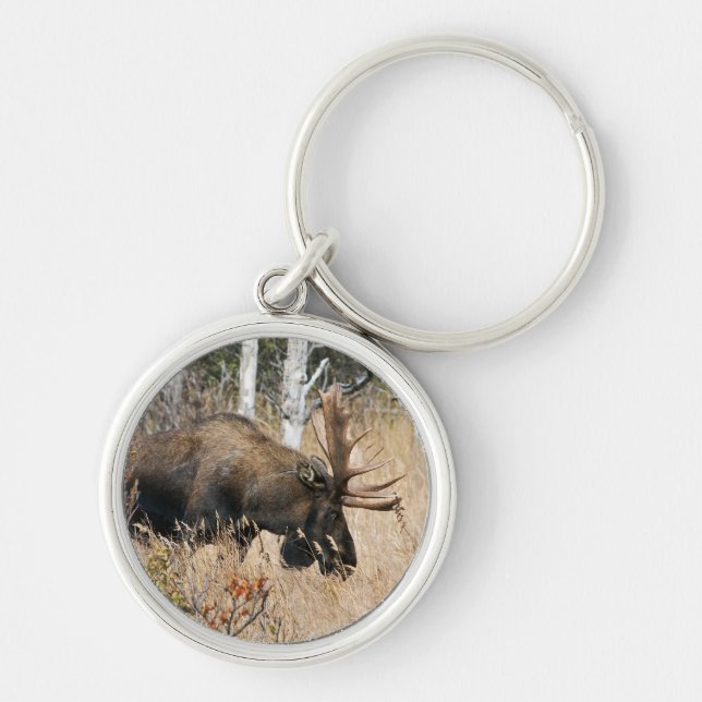 Chaveiro Grazing Moose (Frente)