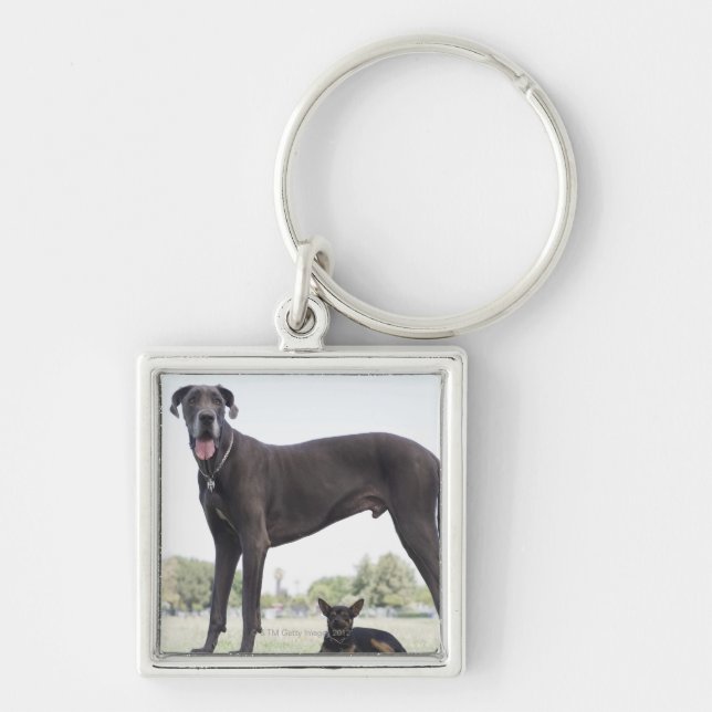 Chaveiro Great dane e cão pequeno da misturado-raça (Frente)