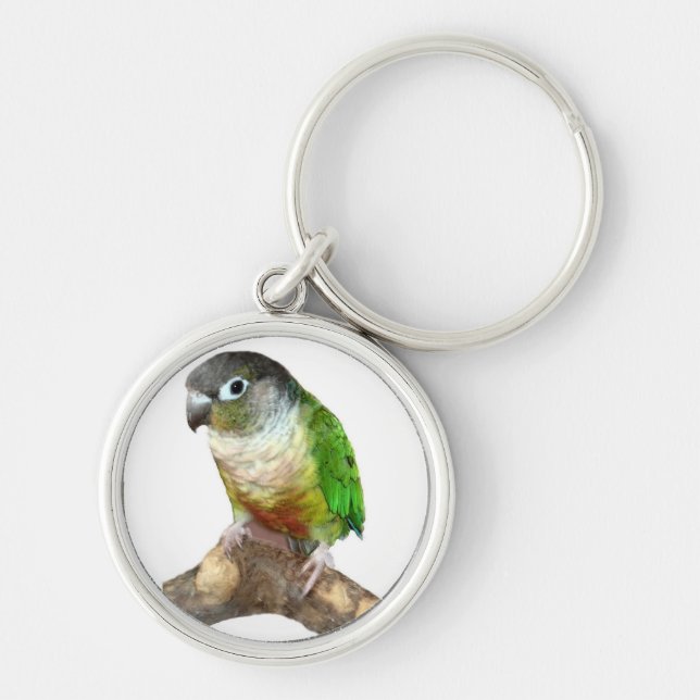 Chaveiro Green Cheek Conure (Frente)