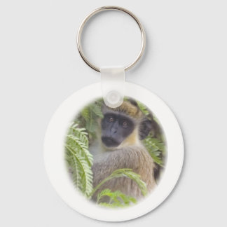 Chaveiro Green Vervet Monkey